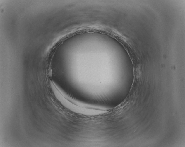 X0000076271496200610191726