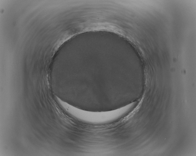 X0000076271497200610191726