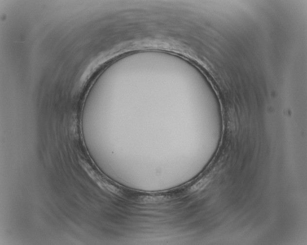 X0000076271499200610191726