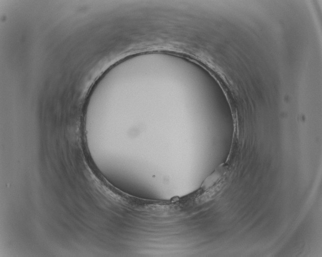 X0000076271500200610191726