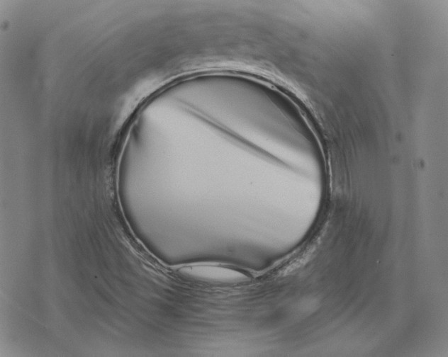 X0000076271501200610191726