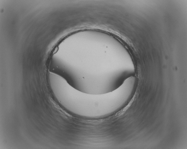 X0000076271502200610191726