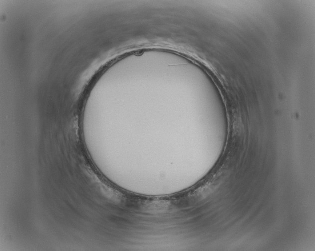 X0000076271503200610191726