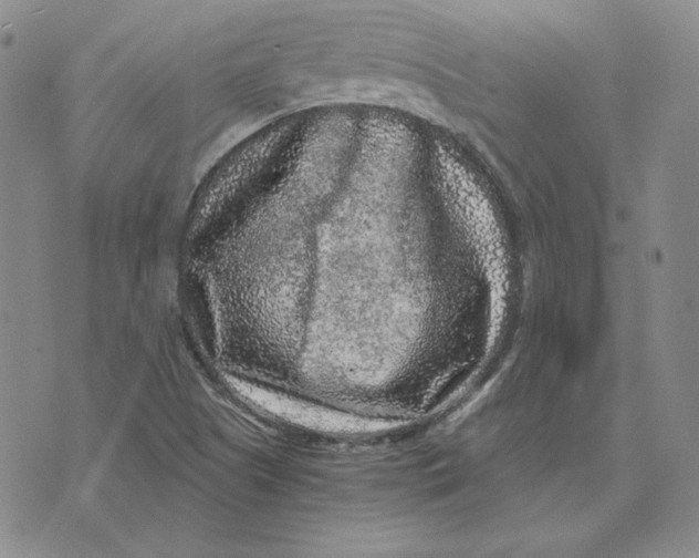 X0000076271505200610191726