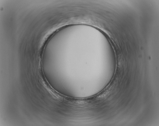 X0000076271507200610191726