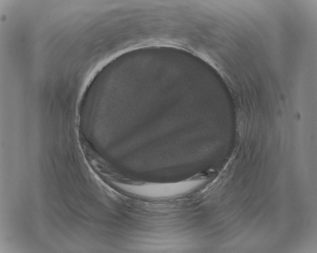 X0000076271508200610191726