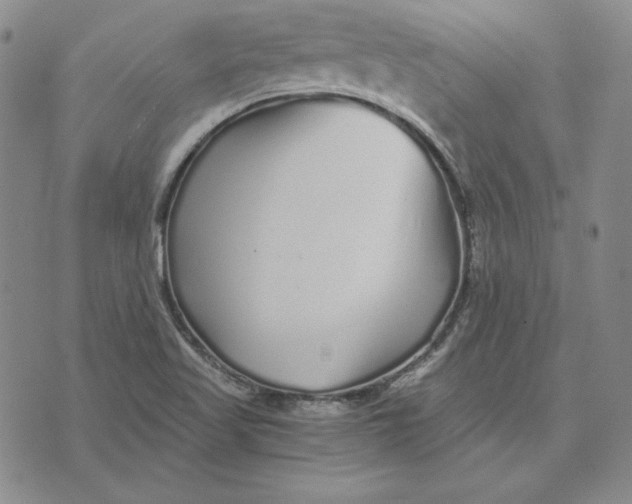 X0000076271509200610191726