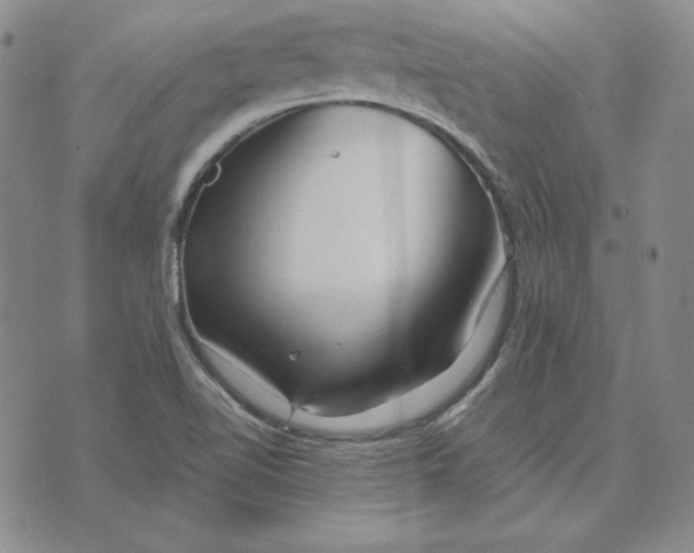 X0000076271510200610191726