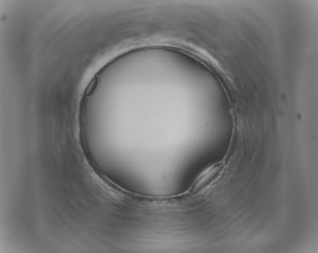 X0000076271512200610191726