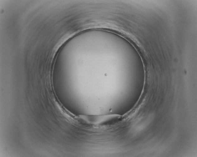 X0000076271513200610191726