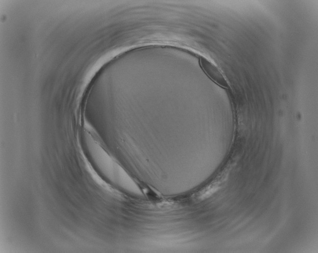 X0000076271515200610191726