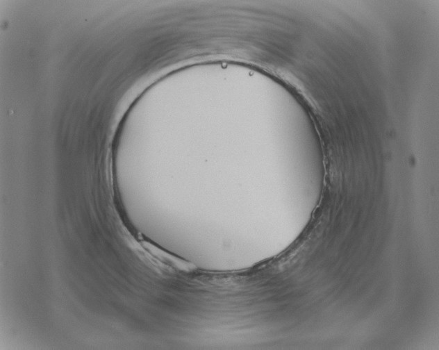 X0000076271516200610191726