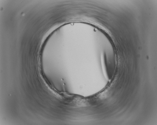 X0000076271517200610191726