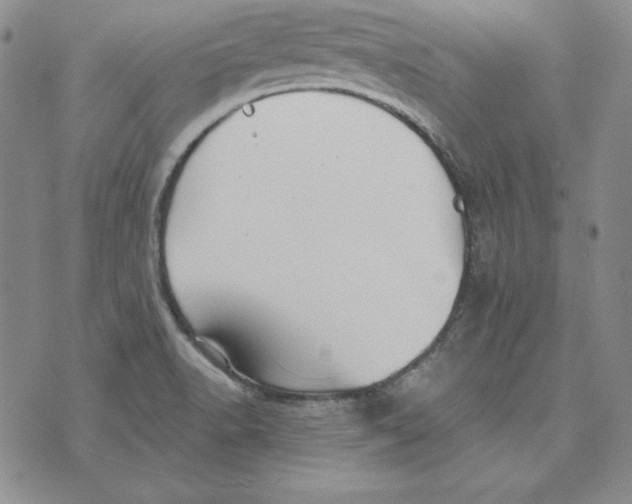 X0000076271518200610191726