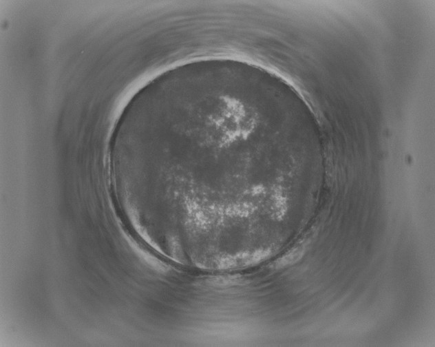 X0000076271519200610191726