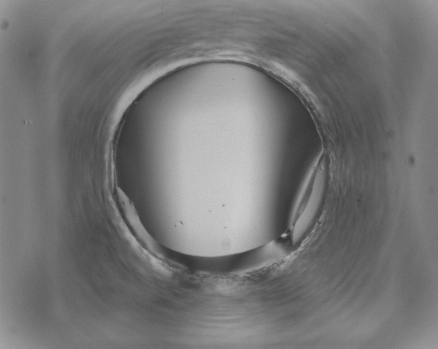 X0000076271520200610191726