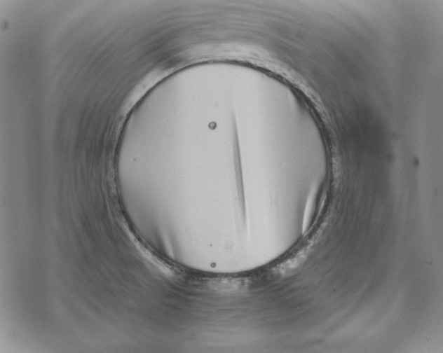 X0000076271521200610191726