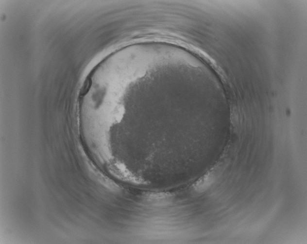 X0000076271522200610191726