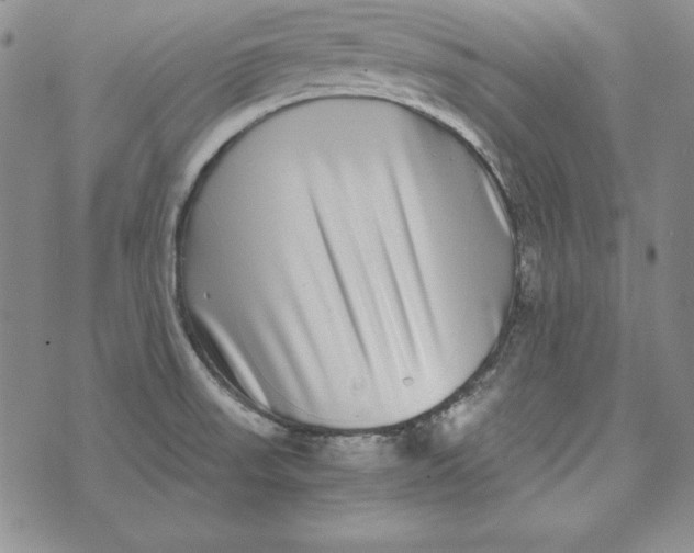 X0000076271523200610191726