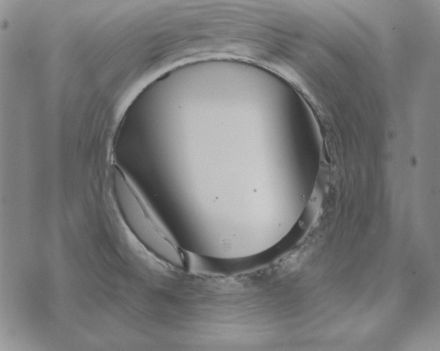 X0000076271524200610191726