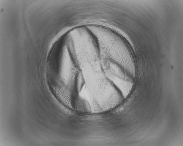 X0000076271525200610191726