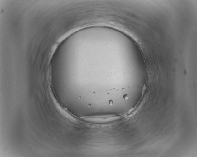 X0000076271526200610191726