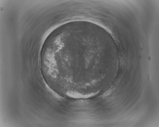 X0000076271527200610191726