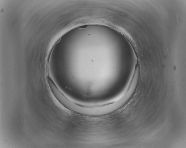 X0000076271528200610191727