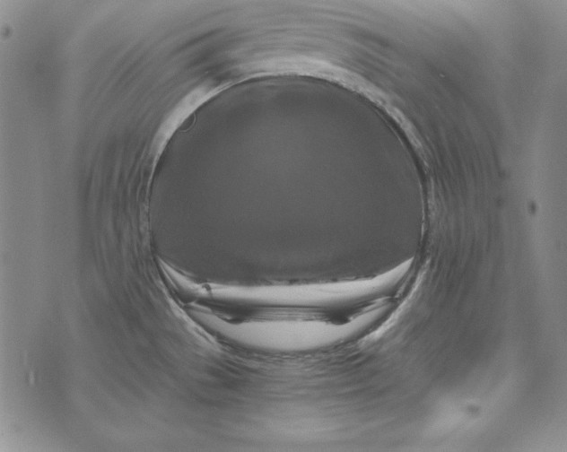 X0000076271529200610191727