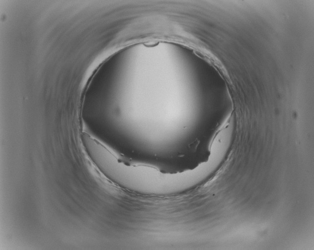 X0000076271530200610191727