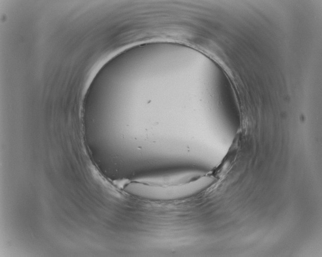 X0000076271532200610191727