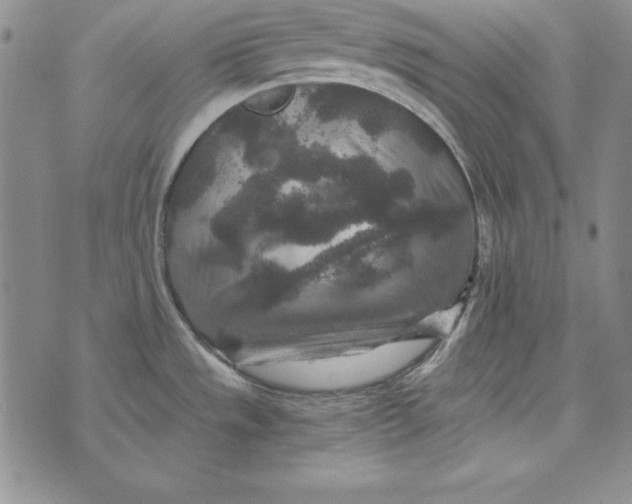 X0000076271533200610191727