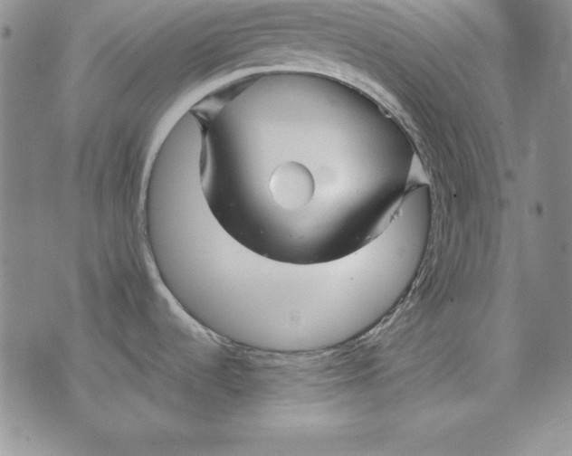 X0000076271536200610191727