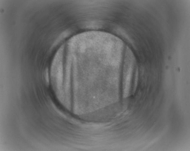 X0000076270020200610262042
