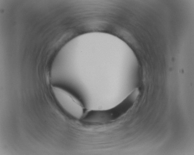 X0000076270021200610262042
