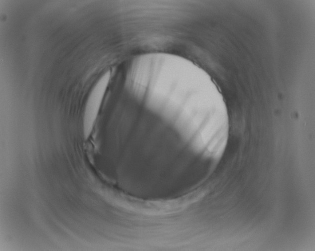 X0000076270027200610262042