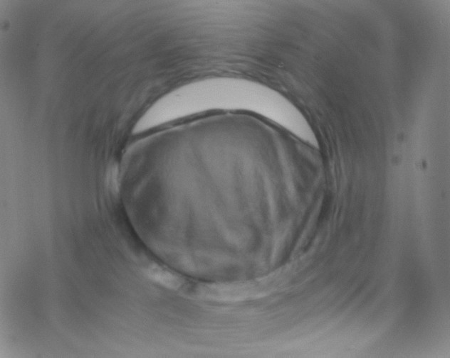 X0000076270041200610262041