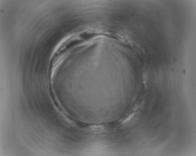 X0000076270052200610262040