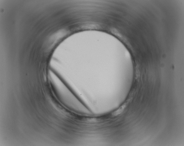 X0000076270062200610262041