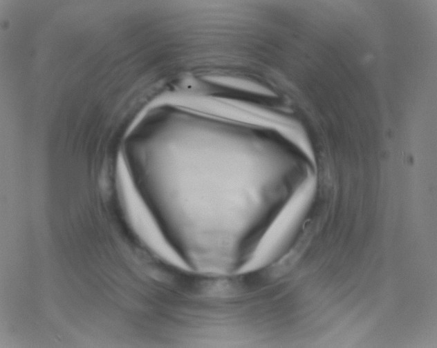 X0000076270074200610262041