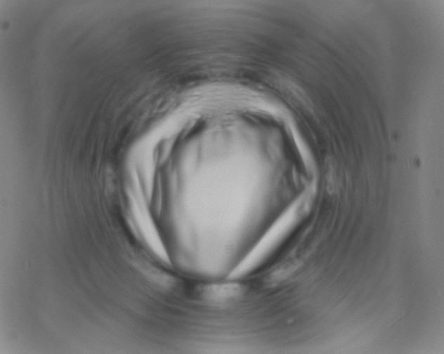 X0000076270077200610262041