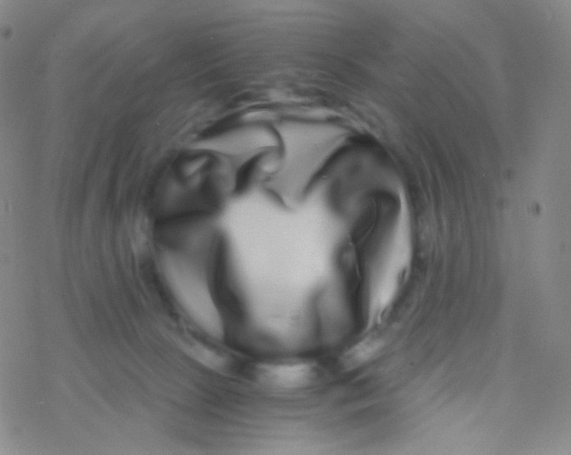X0000076270081200610262041