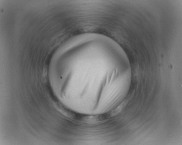 X0000076270082200610262041