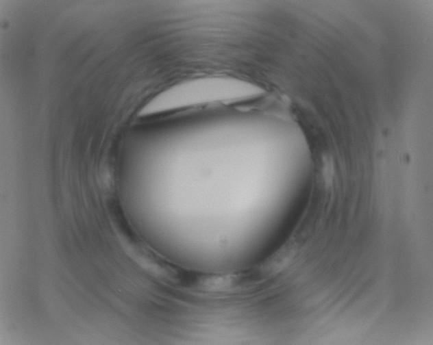 X0000076270084200610262041