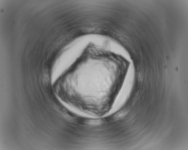X0000076270085200610262041