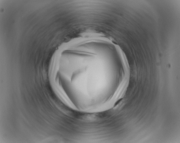X0000076270086200610262041