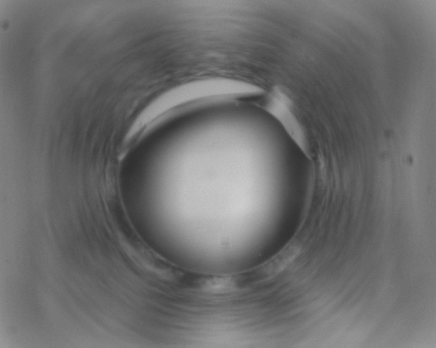 X0000076270088200610262041