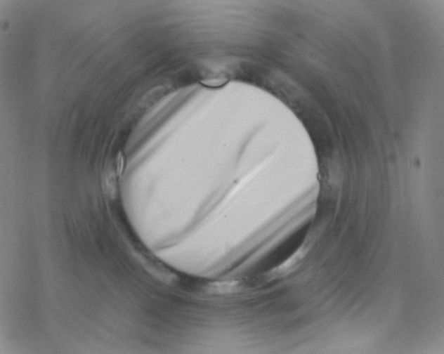 X0000076270090200610262041