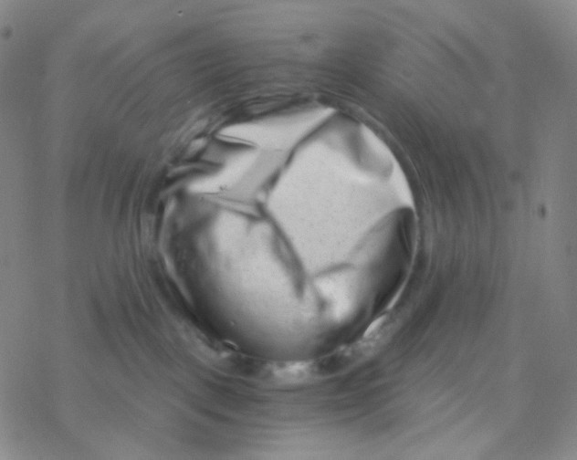 X0000076270093200610262041