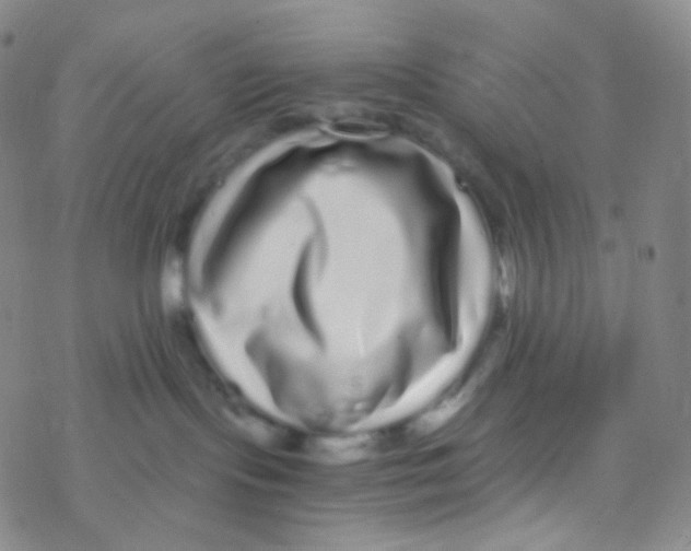 X0000076270095200610262041